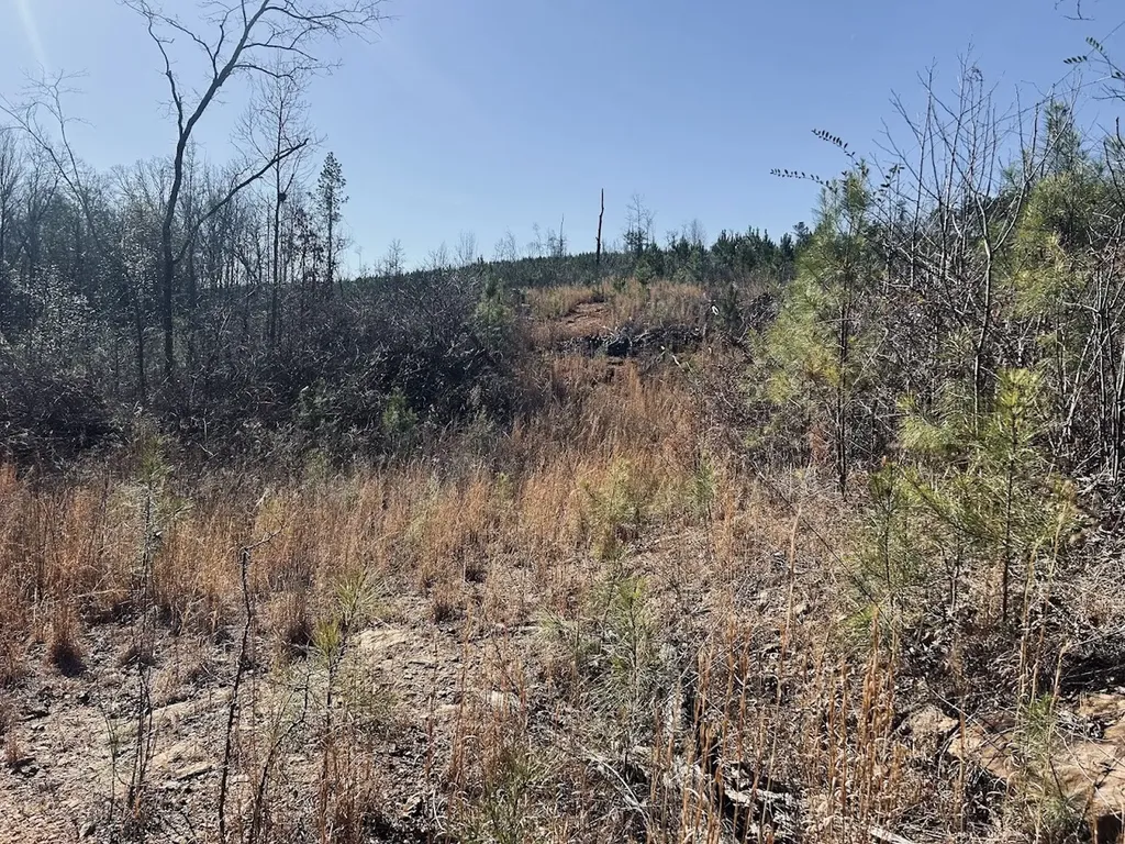 0 Old Highway 431 Tract 1 Wedowee AL 36278