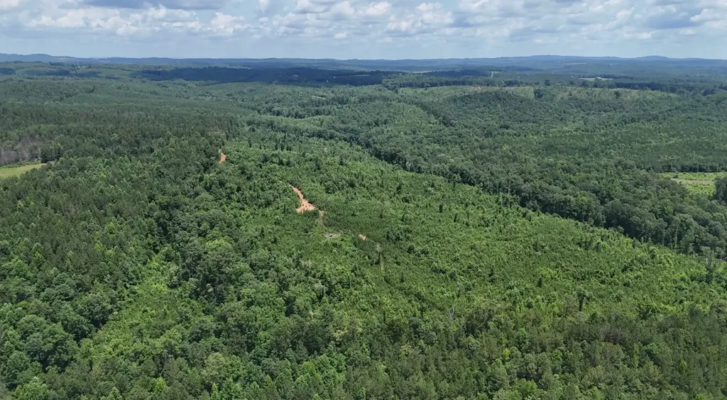 0 Old Highway 431 Tract 1 Wedowee AL 36278