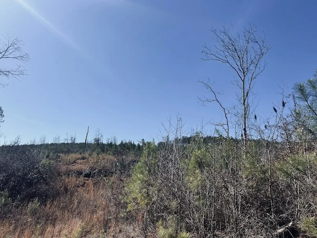 0 Old Highway 431 Tract 1 Wedowee AL 36278