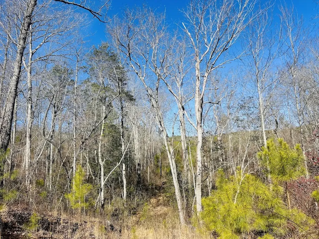 0 Old Highway 431 Tract 1 Wedowee AL 36278