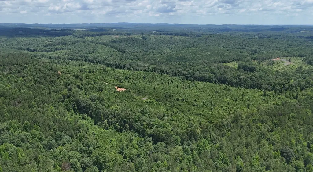 0 Old Highway 431 Tract 1 Wedowee AL 36278