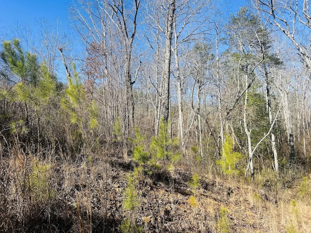 0 Old Highway 431 Tract 1 Wedowee AL 36278