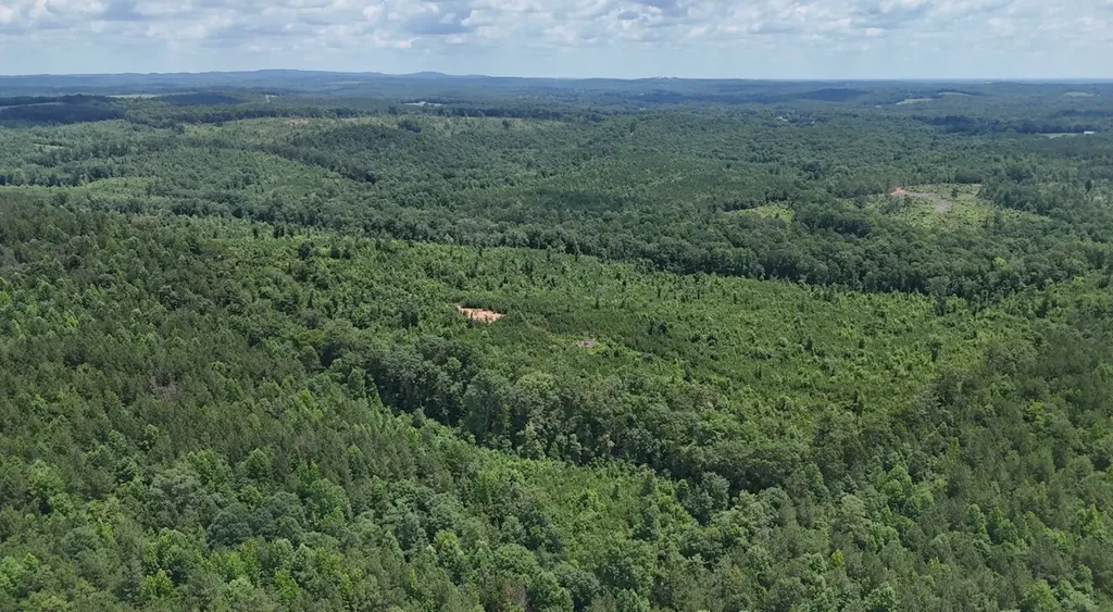 0 Old Highway 431 Tract 1 Wedowee AL 36278
