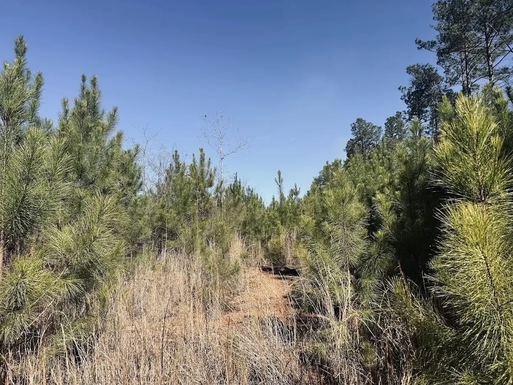 0 Old Highway 431 Tract 1 Wedowee AL 36278