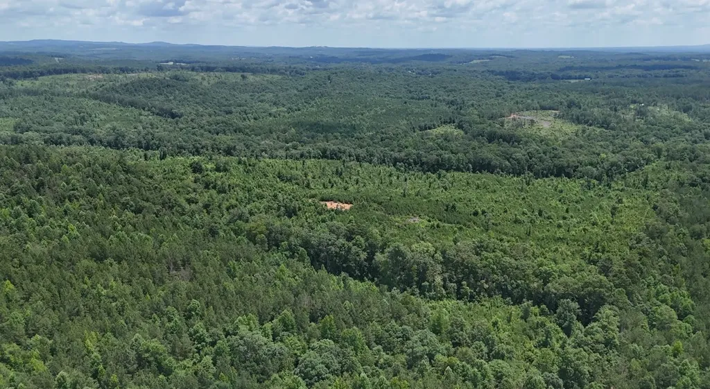 0 Old Highway 431 Tract 1 Wedowee AL 36278