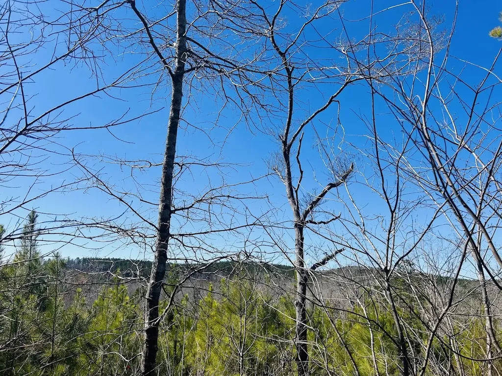 0 Old Highway 431 Tract 1 Wedowee AL 36278