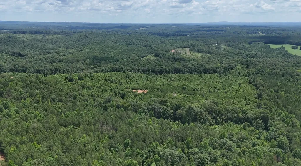 0 Old Highway 431 Tract 1 Wedowee AL 36278