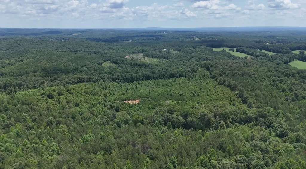 0 Old Highway 431 Tract 1 Wedowee AL 36278