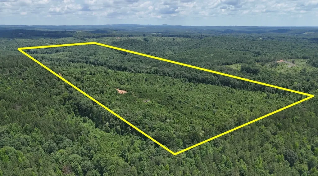 0 Old Highway 431 Tract 1 Wedowee AL 36278