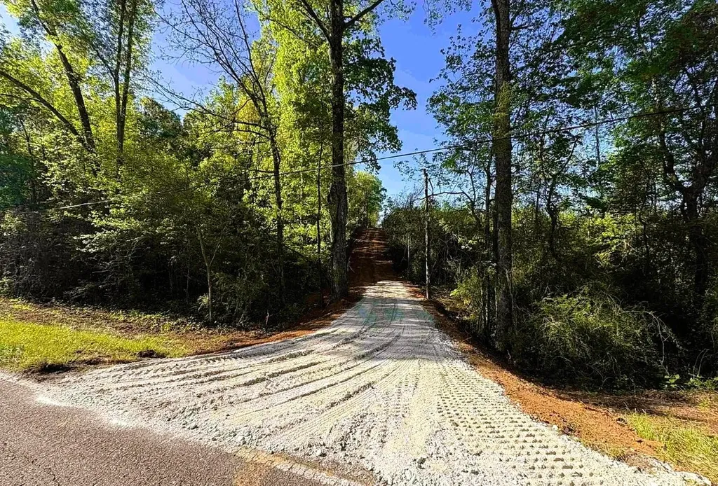 0 Old Highway 431 Tract 1 Wedowee AL 36278