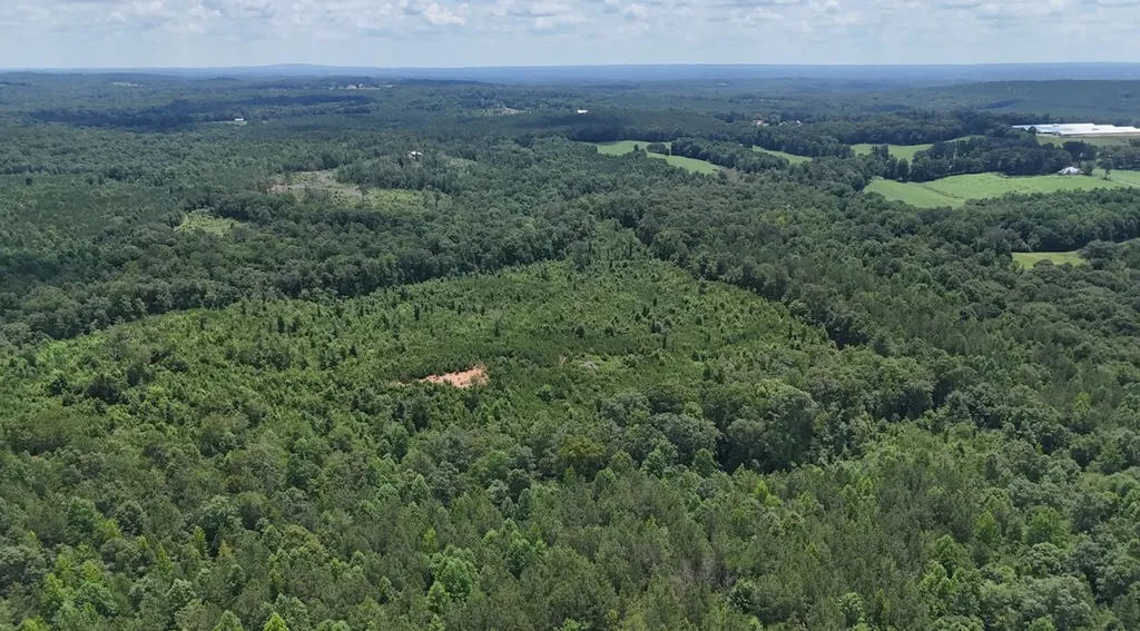 0 Old Highway 431 Tract 1 Wedowee AL 36278