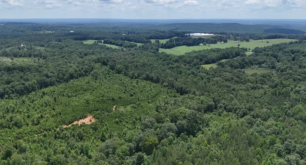 0 Old Highway 431 Tract 1 Wedowee AL 36278