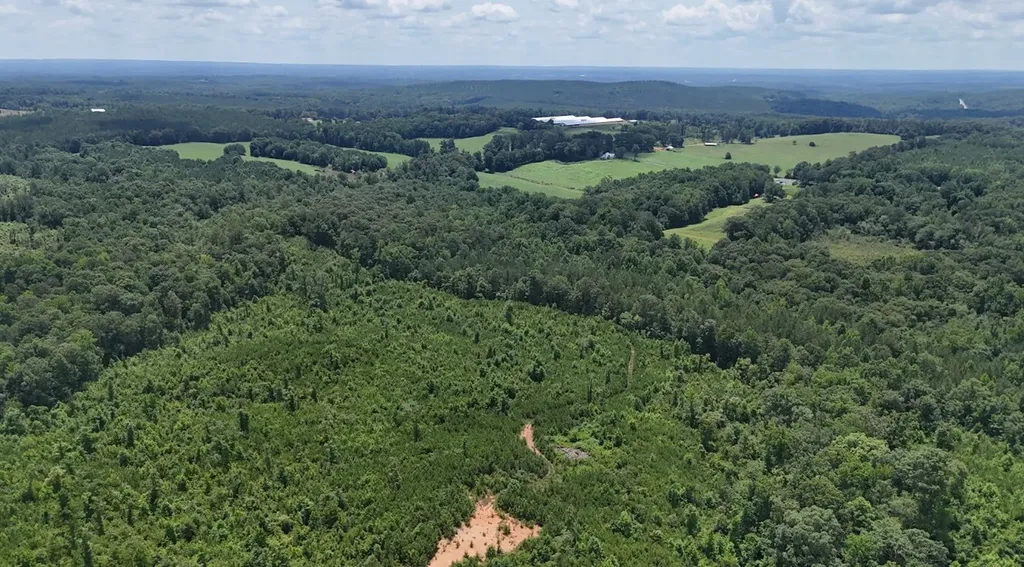 0 Old Highway 431 Tract 1 Wedowee AL 36278