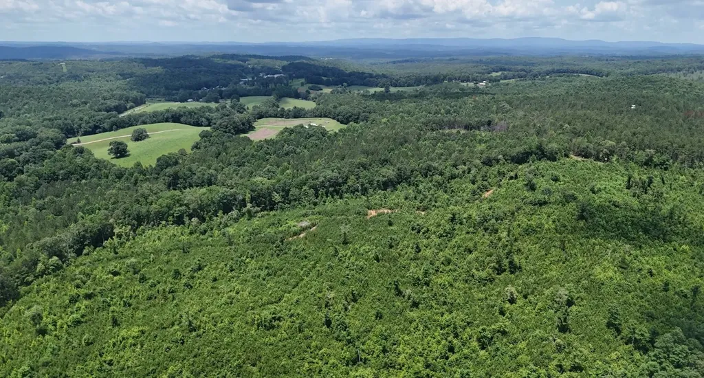 0 Old Highway 431 Tract 1 Wedowee AL 36278