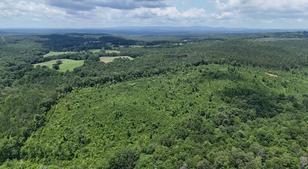 0 Old Highway 431 Tract 1 Wedowee AL 36278