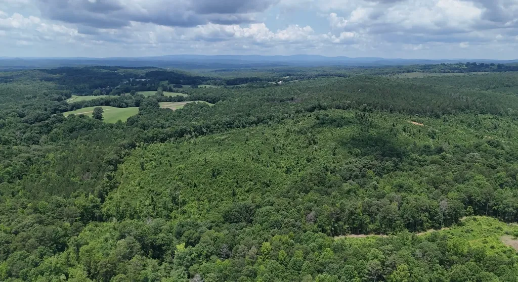 0 Old Highway 431 Tract 1 Wedowee AL 36278