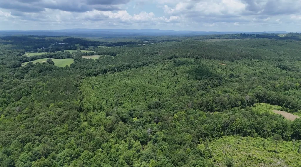 0 Old Highway 431 Tract 1 Wedowee AL 36278