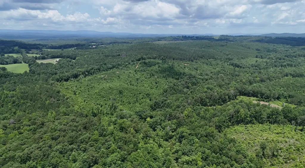 0 Old Highway 431 Tract 1 Wedowee AL 36278