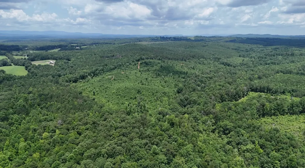 0 Old Highway 431 Tract 1 Wedowee AL 36278