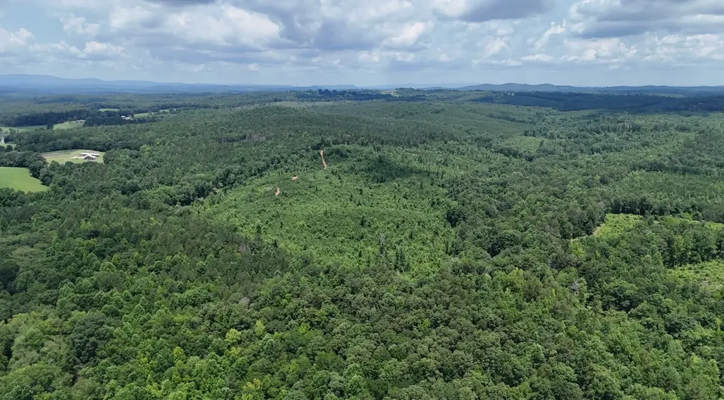 0 Old Highway 431 Tract 1 Wedowee AL 36278