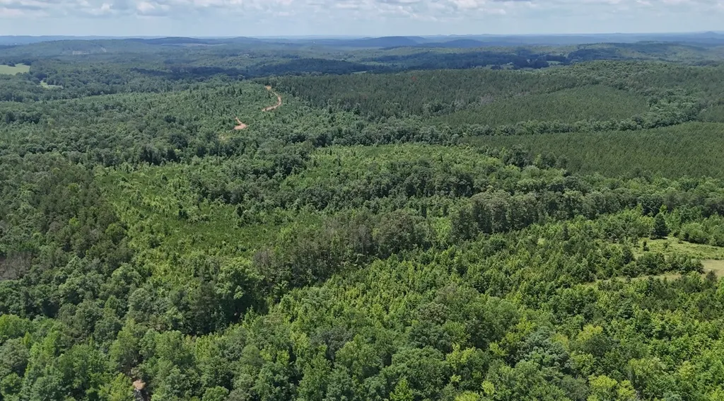 0 Old Highway 431 Tract 1 Wedowee AL 36278
