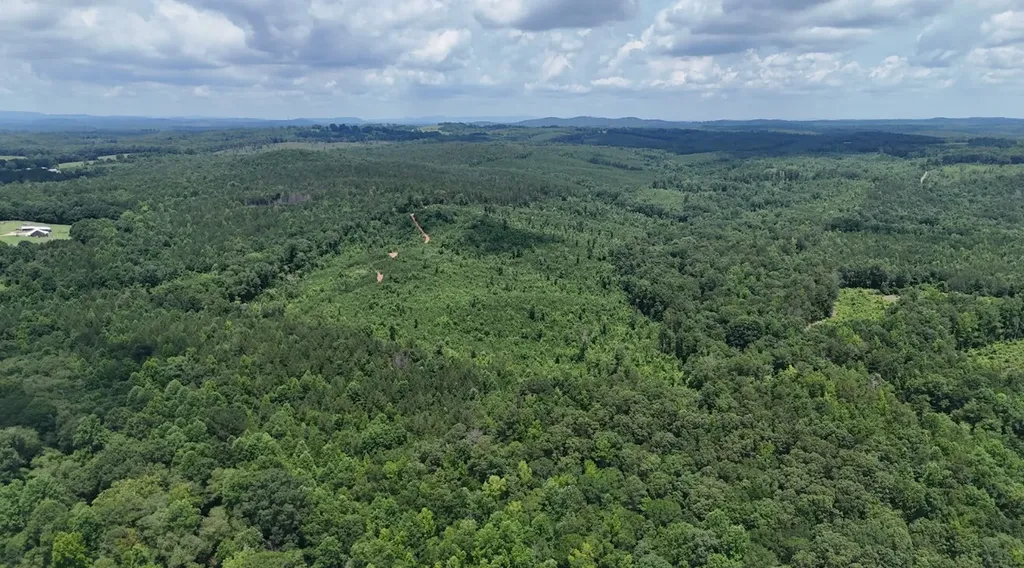 0 Old Highway 431 Tract 1 Wedowee AL 36278