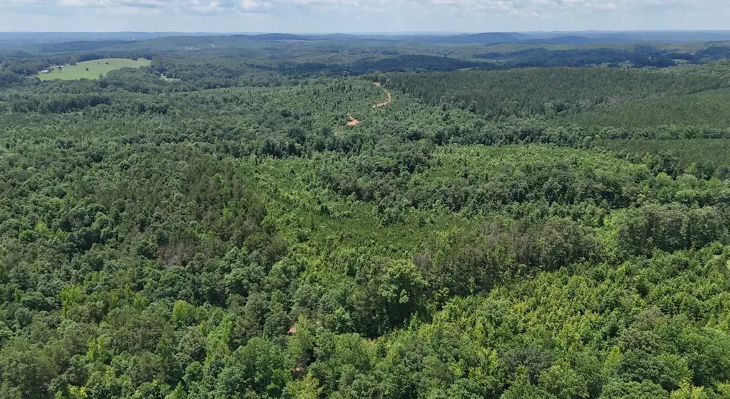 0 Old Highway 431 Tract 1 Wedowee AL 36278