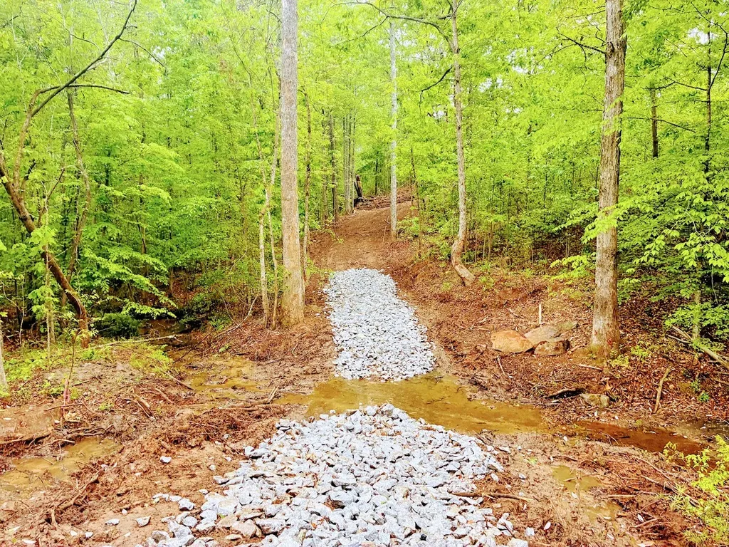 0 Old Highway 431 Tract 1 Wedowee AL 36278