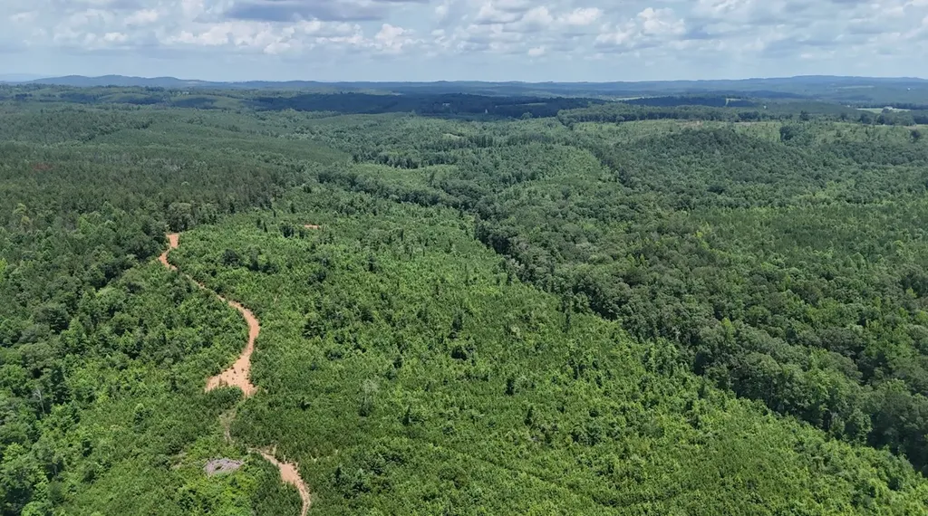 0 Old Highway 431 Tract 1 Wedowee AL 36278