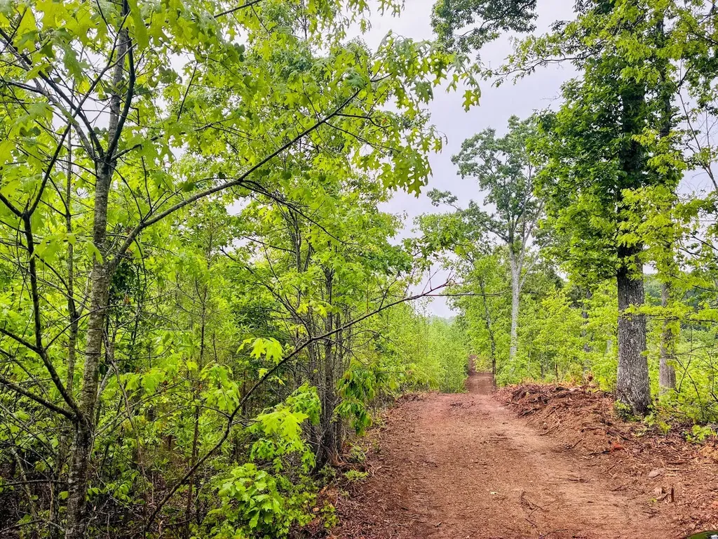 0 Old Highway 431 Tract 1 Wedowee AL 36278