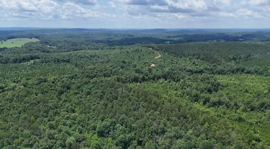 0 Old Highway 431 Tract 1 Wedowee AL 36278