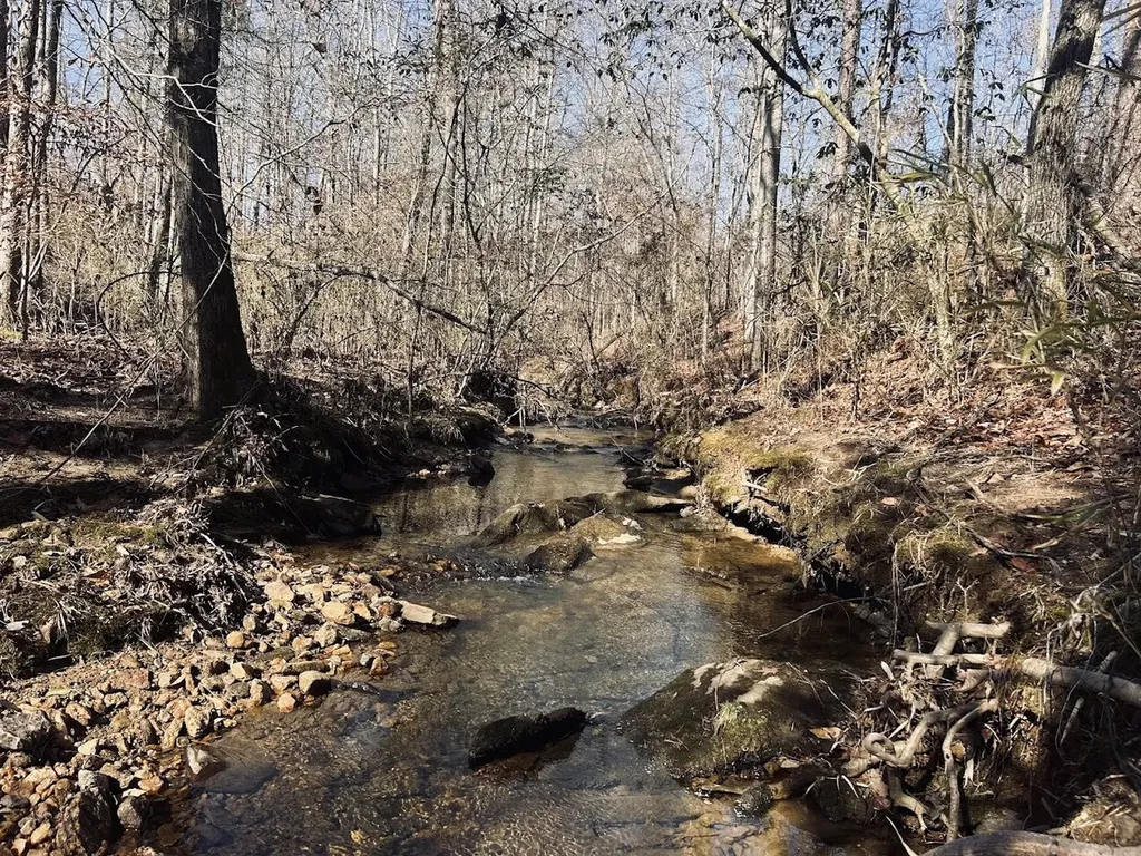 0 Old Highway 431 Tract 1 Wedowee AL 36278