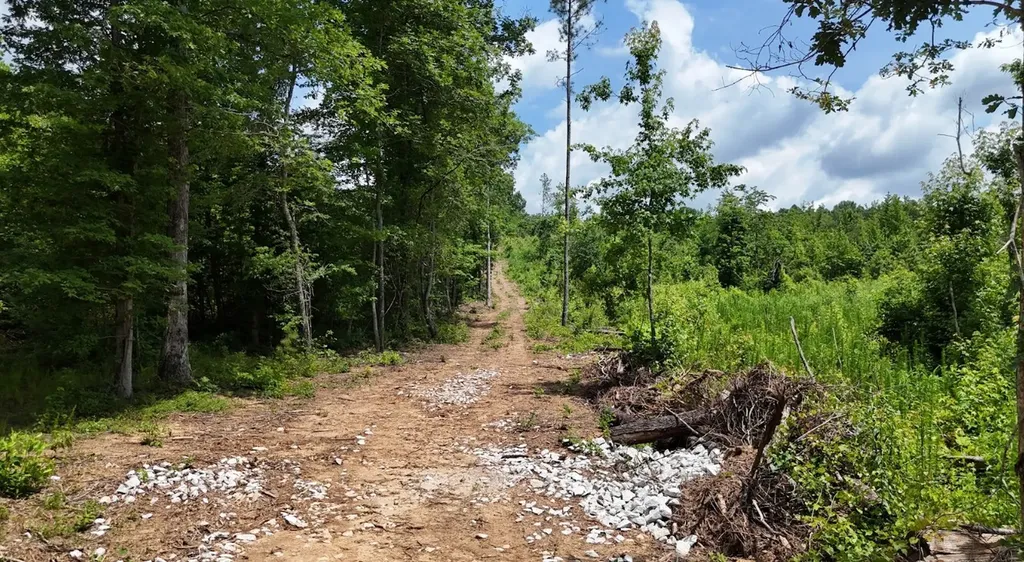 0 Old Highway 431 Tract 1 Wedowee AL 36278