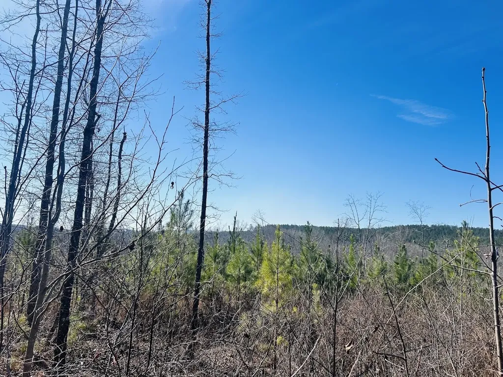 0 Old Highway 431 Tract 1 Wedowee AL 36278