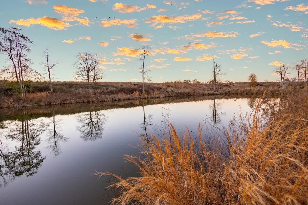 239 County Road 622 Enterprise AL 36330