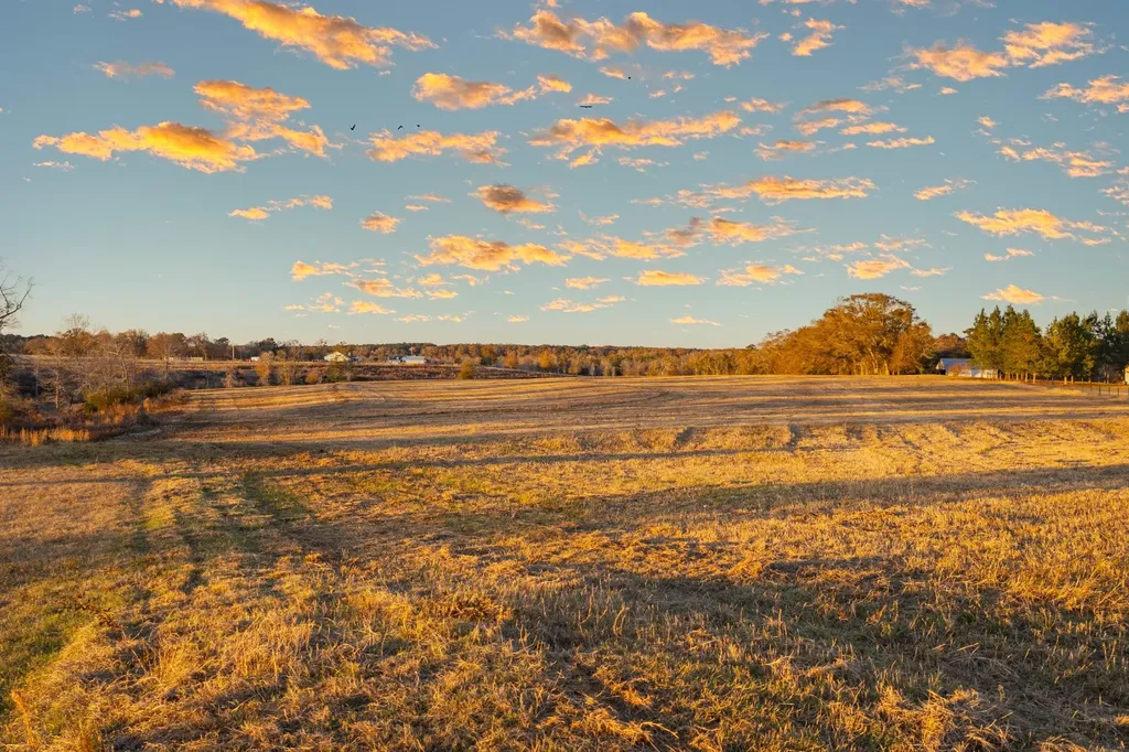 239 County Road 622 Enterprise AL 36330