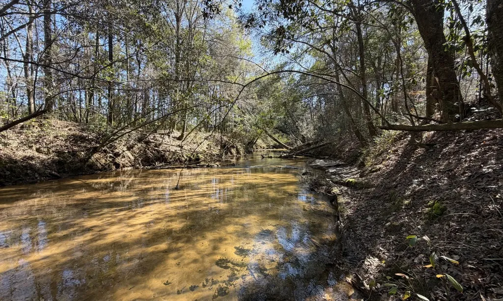 Elba AL, Taylor Mill Road