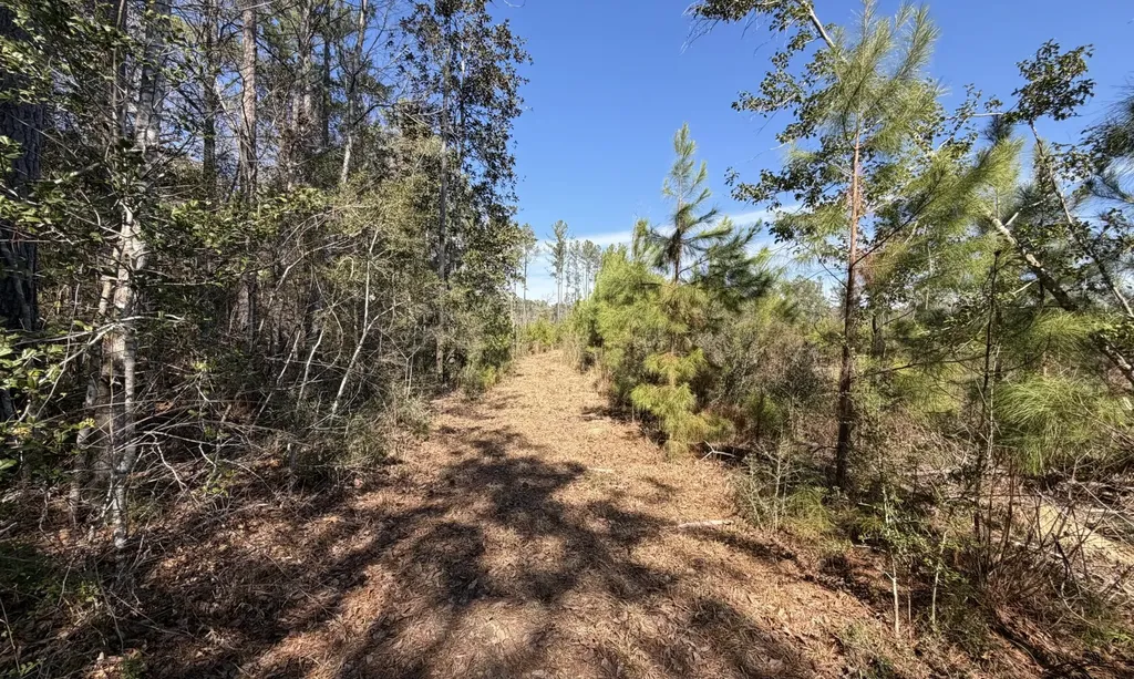 0 Taylor Mill Road Elba AL 36323