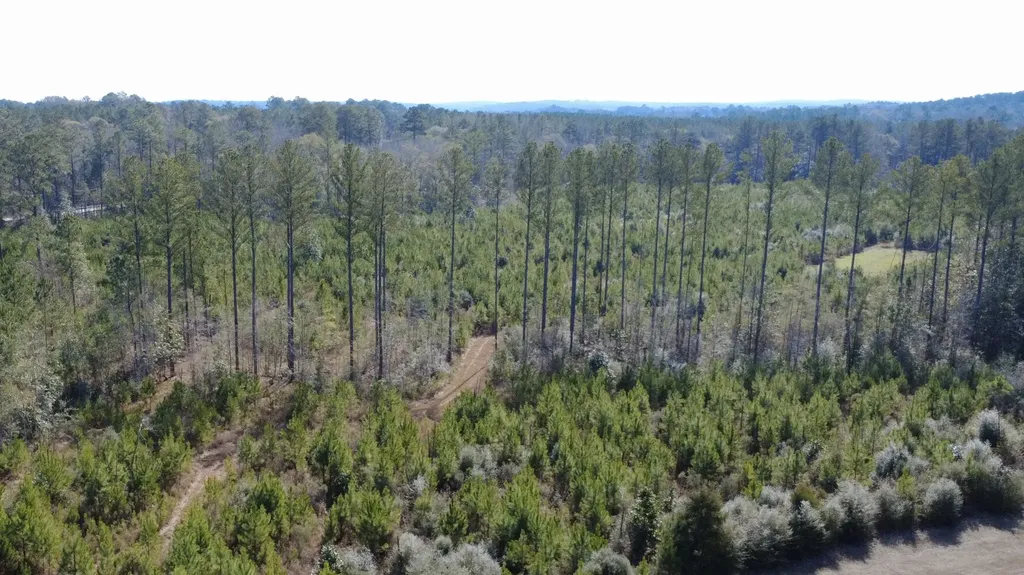 0 Taylor Mill Road Elba AL 36323