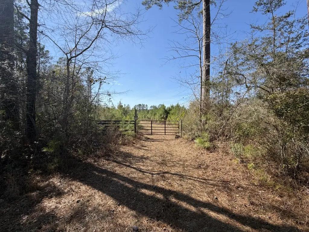 0 Taylor Mill Road Elba AL 36323