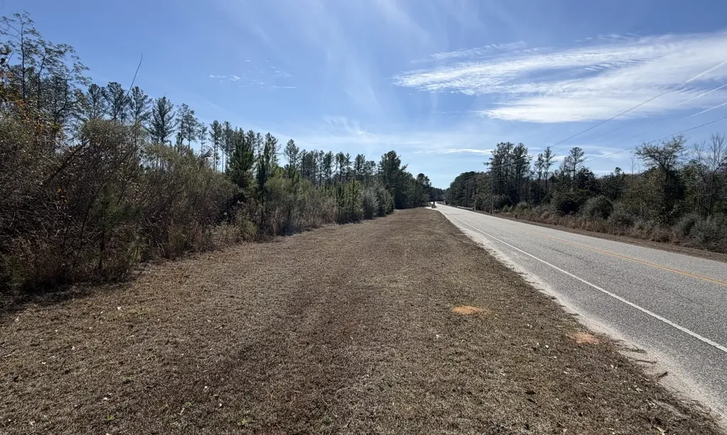 0 Taylor Mill Road Elba AL 36323