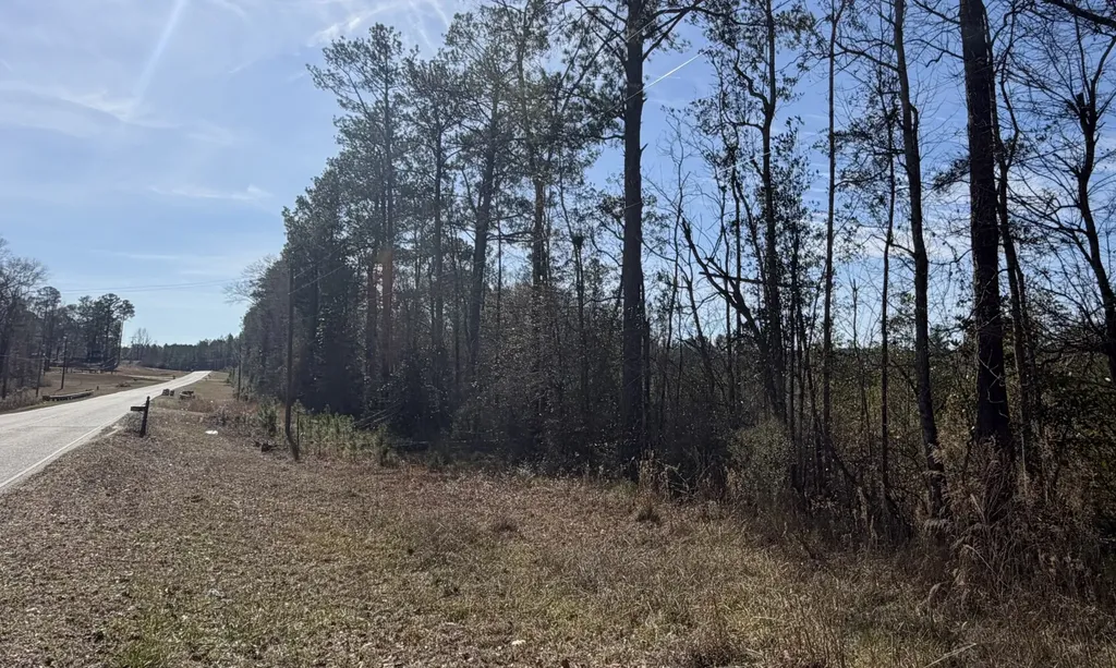 0 Taylor Mill Road Elba AL 36323