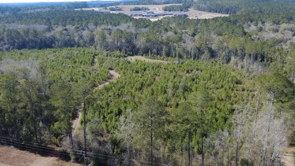 0 Taylor Mill Road Elba AL 36323