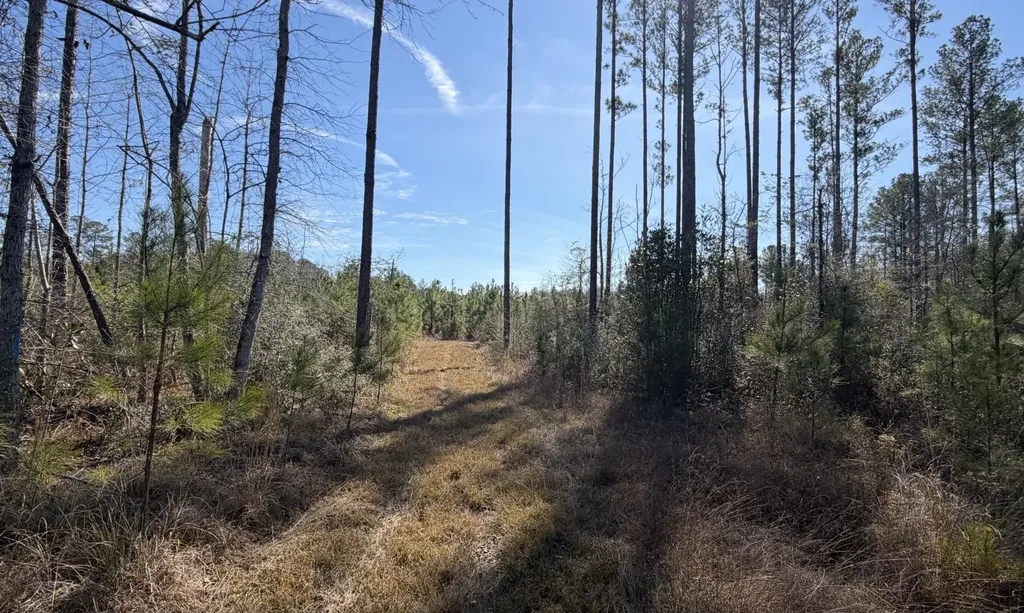 0 Taylor Mill Road Elba AL 36323