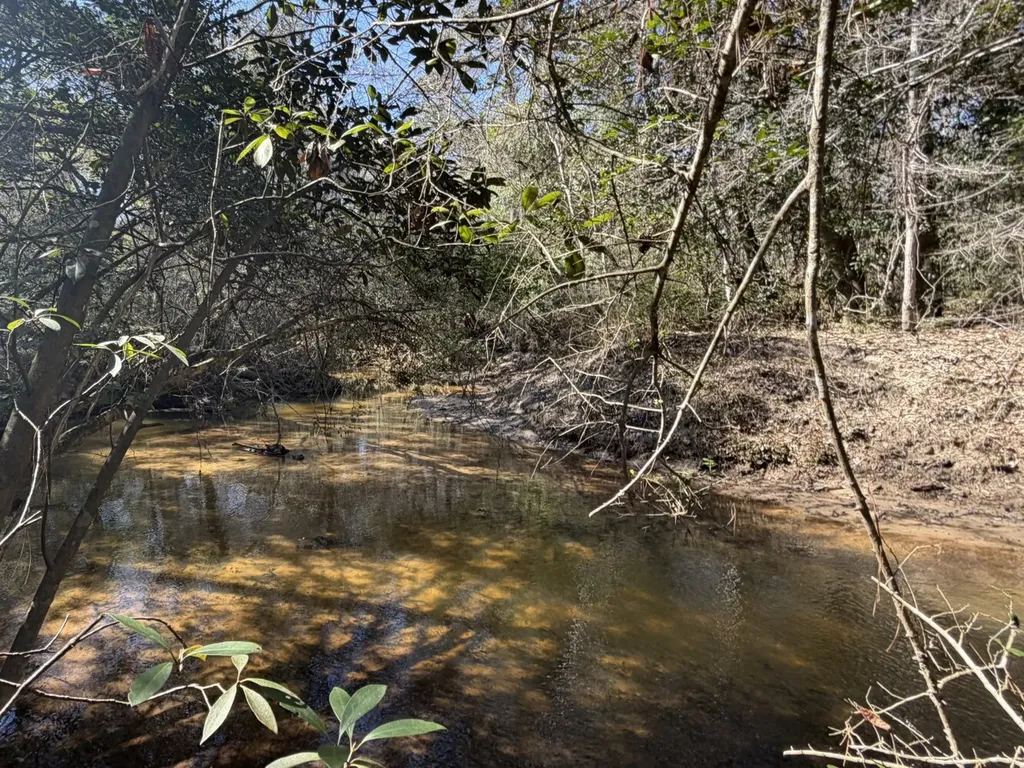 0 Taylor Mill Road Elba AL 36323