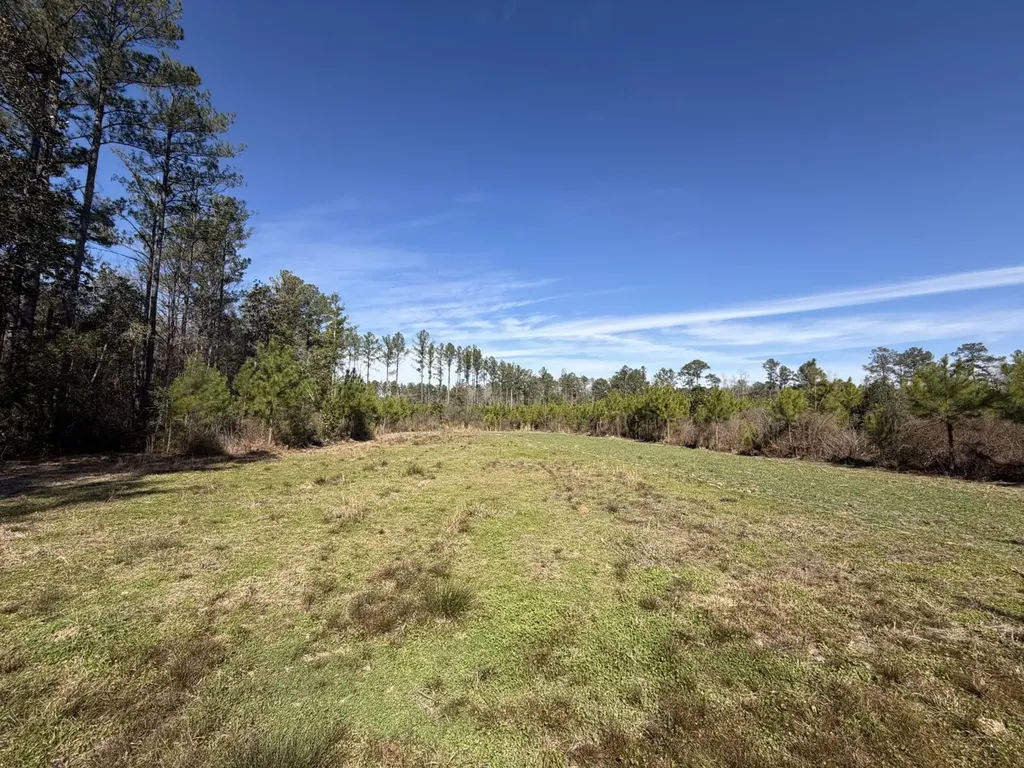 0 Taylor Mill Road Elba AL 36323