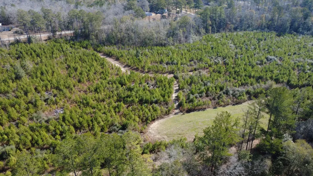 0 Taylor Mill Road Elba AL 36323