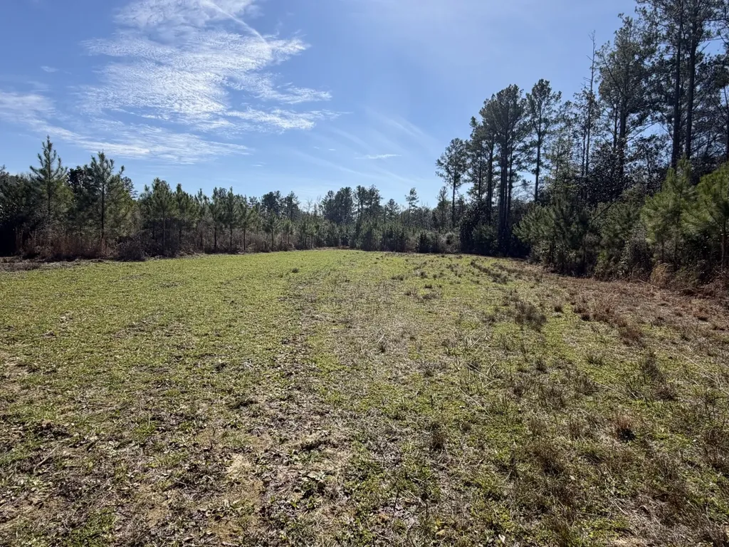 0 Taylor Mill Road Elba AL 36323