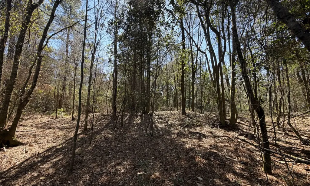 0 Taylor Mill Road Elba AL 36323