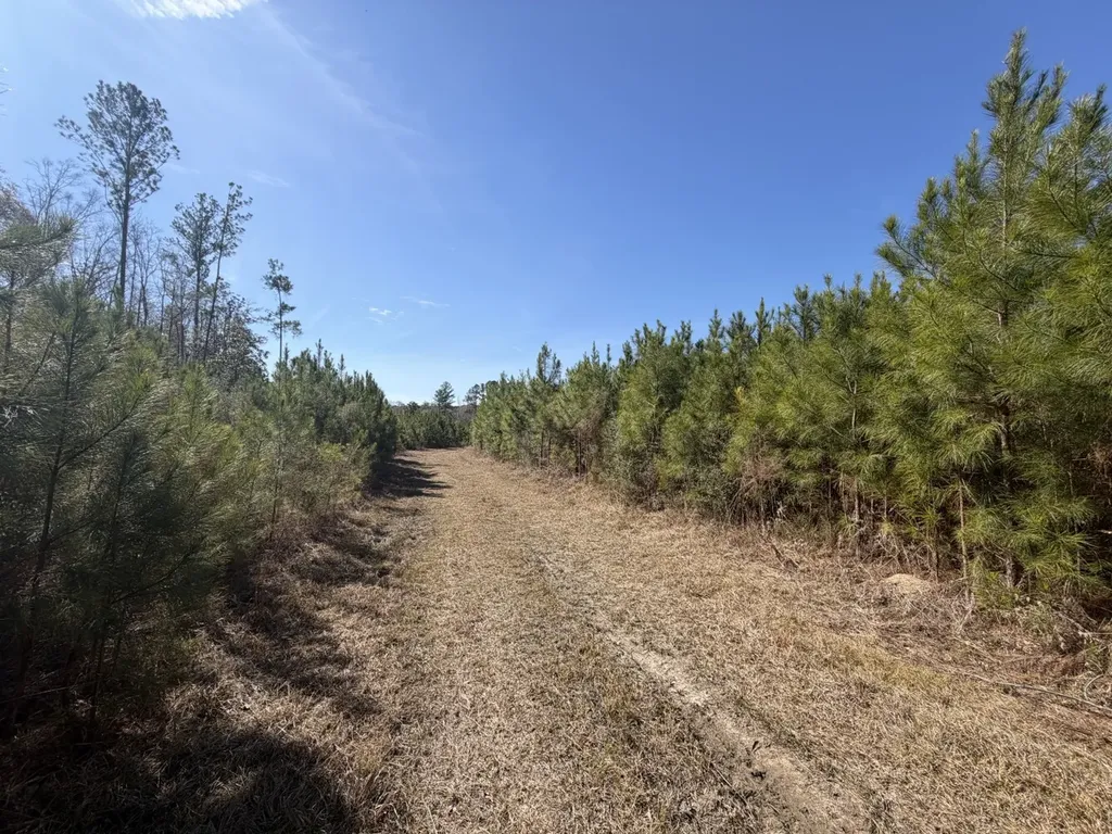 0 Taylor Mill Road Elba AL 36323